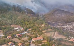 Bulgaria: Cháy rừng dữ dội lan rộng hơn 800 hecta