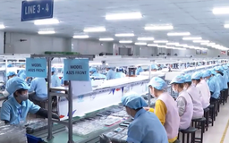 Chậm trả lương nhân viên có thể bị phạt tới 100 triệu đồng