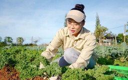 Tháo gỡ khó khăn cho nông nghiệp hữu cơ