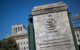 WTO cảnh báo GDP toàn cầu giảm 10% nếu thương mại phân mảnh