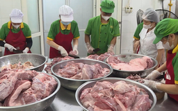 Tăng cường kiểm soát chất lượng bữa ăn bán trú tại trường học