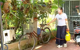 Cảnh giác sốt xuất huyết gia tăng nếu người dân chủ quan