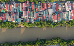 Chủ tịch UBND TP Hà Nội chỉ đạo làm rõ tình trạng lều lán, nhà xưởng "mọc" sát hành lang thoát lũ sông Nhuệ
