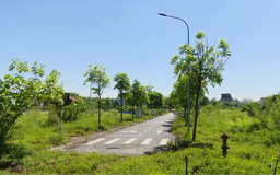 Đất nền được rao cắt lỗ sâu