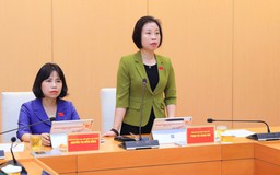 Giám sát việc triển khai cơ chế chính sách trong lĩnh vực môi trường
