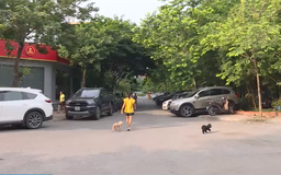 Đỗ xe tràn lan quanh hồ Trung Văn