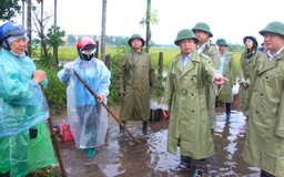 Hạn chế thấp nhất thiệt hại do mưa lũ