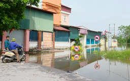 Cấm lưu thông qua hàng loạt cầu cũ, cầu tạm trên sông Đáy