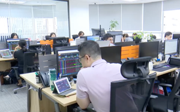 Chứng khoán Việt Nam nâng hạng lên thị trường mới nổi thứ cấp
