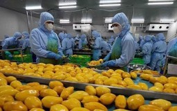 Xuất siêu nông lâm thủy sản đạt hơn 14 tỷ USD