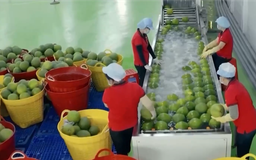 Hàng hóa Việt Nam đối mặt 327 vụ việc phòng vệ thương mại