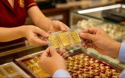 Tổng quan thị trường sáng ngày 20/9