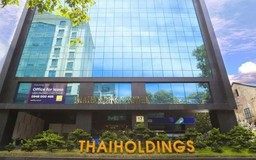 Thaiholdings hủy đại hội bất thường, điều chỉnh kế hoạch kinh doanh