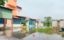 Nỗi lo cầu cũ chìm sâu, cầu mới chậm tiến độ