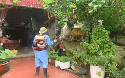 Tăng cường phòng chống sốt xuất huyết sau mưa lũ