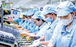 Không trả tiền phép năm, doanh nghiệp có thể bị phạt 100 triệu đồng
