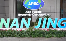 APEC hợp tác phát triển nguồn nhân lực trong kỷ nguyên AI