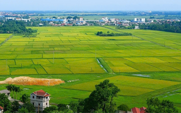 Đề xuất lùi thời hạn hoàn thành cơ sở dữ liệu đất đai