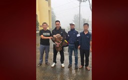 Bắt giữ đối tượng truy nã nguy hiểm