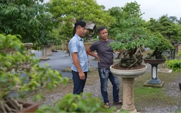 Nông nghiệp Hà Nội trong dòng chảy chuyển đổi số | Nông nghiệp và Môi trường | 20/09/2026