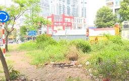 Vườn hoa bị bỏ quên giữa lòng đô thị