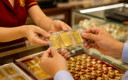 Tổng quan thị trường sáng ngày 25/9