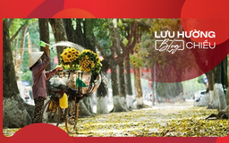 Gom nhặt bình yên giữa mùa thu