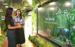 Khám phá thiên nhiên qua xe buýt lưu động