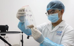Giải mã ADN, nối lại những cuộc đoàn tụ