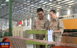 Phạt tới 50 triệu đồng nếu ép nhân viên tăng ca