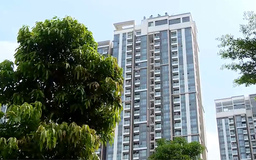 Chung cư hạ nhiệt, thị trường về giá trị thực