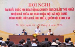 Cân nhắc khi áp dụng các biện pháp xử lý vi phạm hành chính