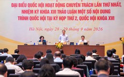 Thảo luận nhóm dự án luật thuộc lĩnh vực hành chính tư pháp và VHXH