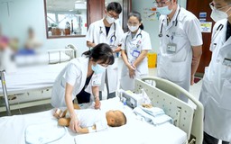Những mầm sống được hồi sinh