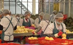 Giảm 30% thuế thu nhập, tiếp sức cho khu vực kinh doanh nhỏ