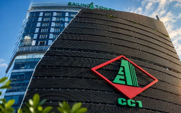 Doanh thu nửa đầu năm của CC1 tăng hơn 30%