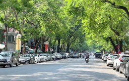 Thời tiết Hà Nội dịu mát