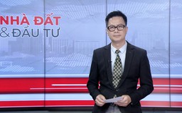 Bản tin Nhà đất và đầu tư | 04/09/2026