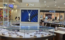PNJ giảm lợi nhuận, kiểm toán nhấn mạnh vụ án công ty con