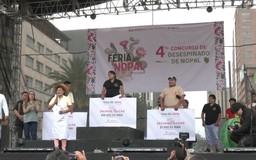 Thử tài tách gai xương rồng ở Mexico