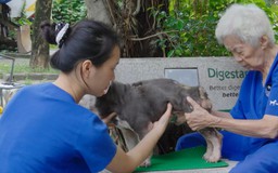 Mỗi ngày tôi chọn một niềm vui | Phim tài liệu | 07/09/2026
