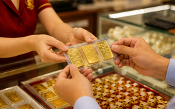 Tổng quan thị trường sáng ngày 6/9