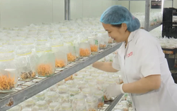 Chuyển đổi xanh từ cách thức sản xuất | Chuyển đổi xanh | 05/09/2026