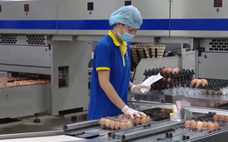 Phát huy thế mạnh nông nghiệp tại địa phương | Nông nghiệp và Môi trường | 06/09/2026