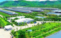 Chuyển đổi xanh để nâng cao sức cạnh tranh của doanh nghiệp