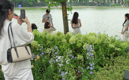 Những khoảng xanh quý giá giữa lòng đô thị