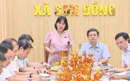 Phát huy trách nhiệm của xã hội, người dân trong bảo vệ môi trường