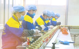 Hàng Việt nâng sức cạnh tranh, mở rộng thị trường