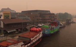 Indonesia: Cháy rừng phát thải lượng carbon kỷ lục