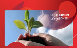 Ươm những mầm thu